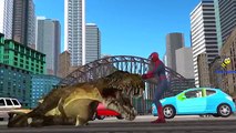 Spiderman Dinosaurios Vs King Kong Dedo De La Familia De Canciones Infantiles Para Niños | Dinosaurios Vs G