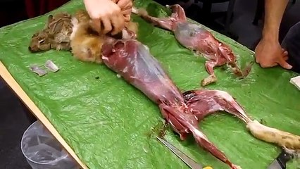 Butchery with Flint tool (2012)