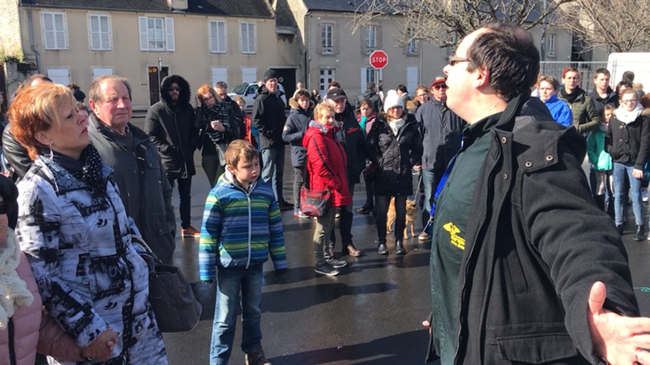 Festival du cirque à Bayeux
