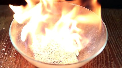 EXPERIMENT MEAT GRINDER VS LIGHTERS