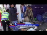 Polisi Grebek Rumah Produksi Petasan & Sita Puluhan Karung Peledak - NET5