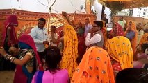 meenawati dance//meena ladies dance//rajasthani wedding dance