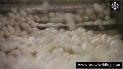 Silk Thread from Silkworm Cocoons