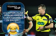 TOP 12 - Quand Nigel OWENS donne un carton jaune à un ramasseur de balles...