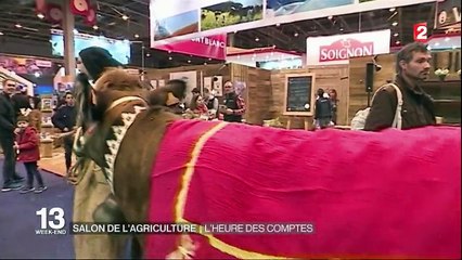 Salon de l'Agriculture : l'heure du bilan pour les exposants