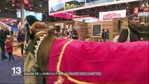 Salon de l'Agriculture : l'heure du bilan pour les exposants