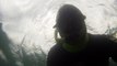 Mergulhando nas profundezas, águas interiores, rios e mares, cavernas submarinas, Ubatuba, Natureza Sub, (29)