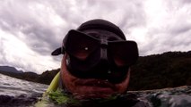 Mergulhando nas profundezas, águas interiores, rios e mares, cavernas submarinas, Ubatuba, Natureza Sub, (32)