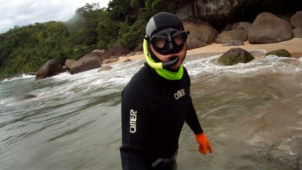 Mergulhando nas profundezas, águas interiores, rios e mares, cavernas submarinas, Ubatuba, Natureza Sub, (39)