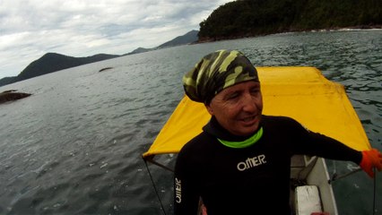 Mergulhando nas profundezas, águas interiores, rios e mares, cavernas submarinas, Ubatuba, Natureza Sub, (42)