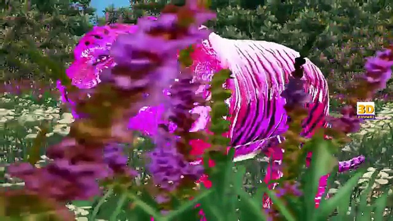 Finger Family Colors 3D Tiger Cartoons For Children Nursery Rhymes | Animals Cartoons for Babies