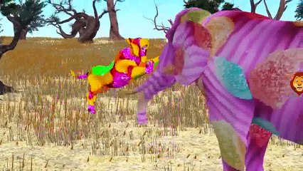 Candy Dinosaurs Finger Family Cartoons For Children | Lion Gorilla And More Animals Finger
