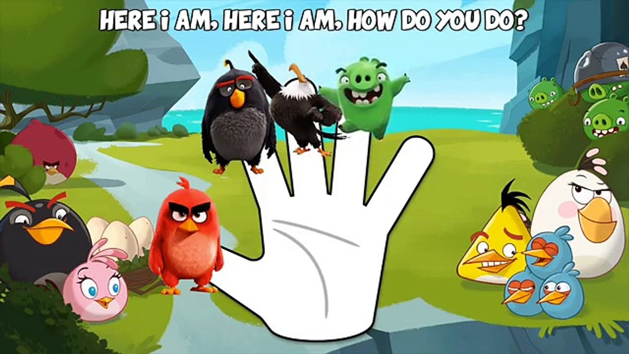 Angry Birds The Movie Finger Family | Cartoon #Animation Daddy Finger Nursery Rhyme Song