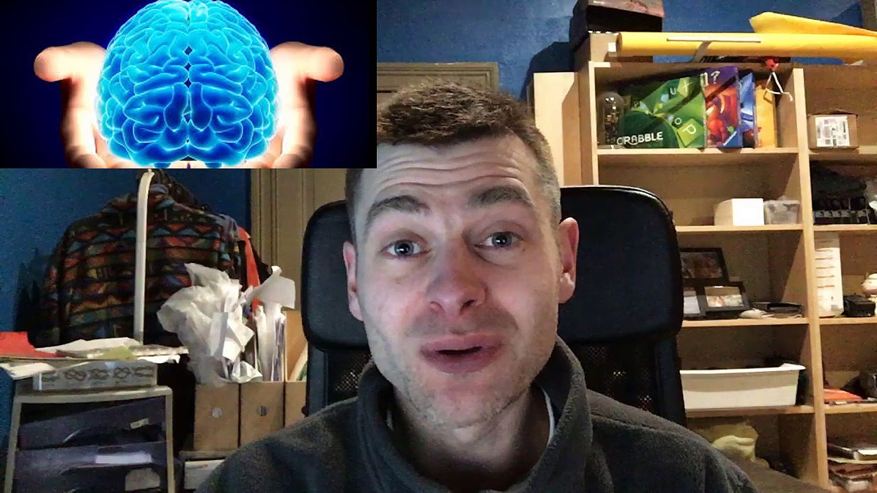 cerveau