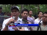 BKSDA Sorong Lepas Liarkan Belasan Burung Endemik Hasil Siataan - NET24