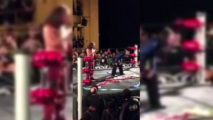 Broken Matt Hardy cuts a promo after The Hardys win the ROH World Tag Team Championship