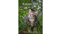 [eBook PDF] Katzen - Kalender 2017: Wochenplaner, 53 Blatt mit Zitaten und Wochenchronik