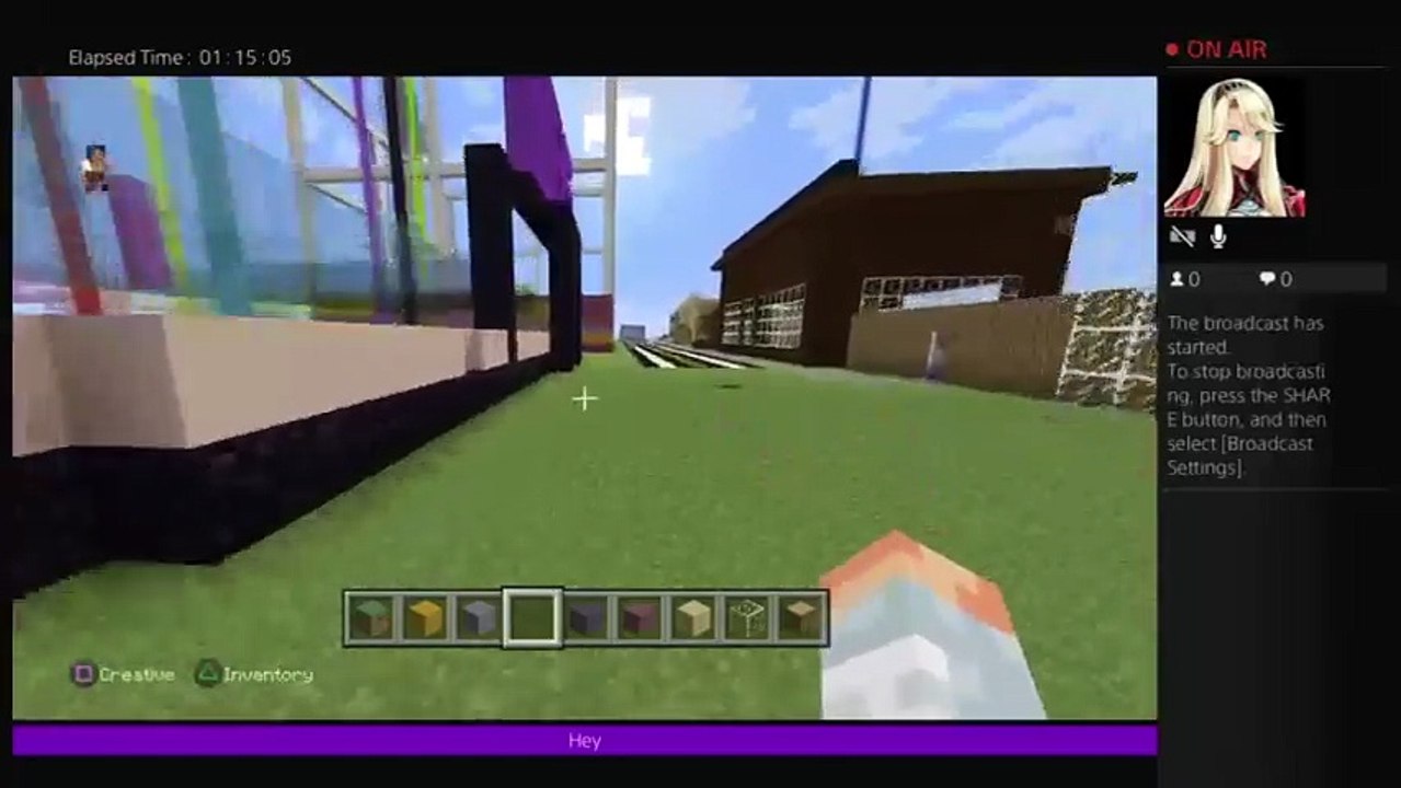 Mincraft fun (3)