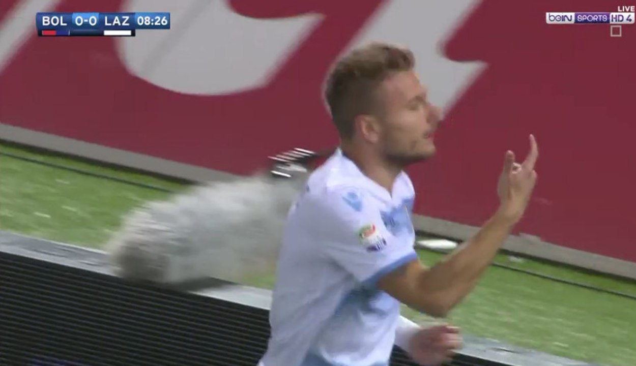 Ciro Immobile Amazing Goal - Bologna FC 0-1 SS Lazio (05/03/2017) / SERIE A