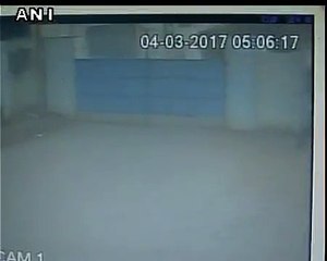 Elephants break the school gate - CCTV footage