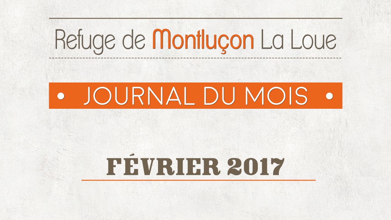 Un mois au refuge : février 2017