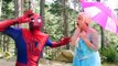 PREGNANT FROZEN ELSA vs SPIDERMAN - SPIDERBABY QUINTUPLETS w/ Pink Spidergirl Twins Funny