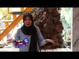 Pesona Islami  Masjid Unik Berbentuk Kapal - NET5