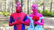 Frozen Elsa Pink Spidergirl with Spiderbaby Twins vs Spiderman - Superhero Fun In Real Lif