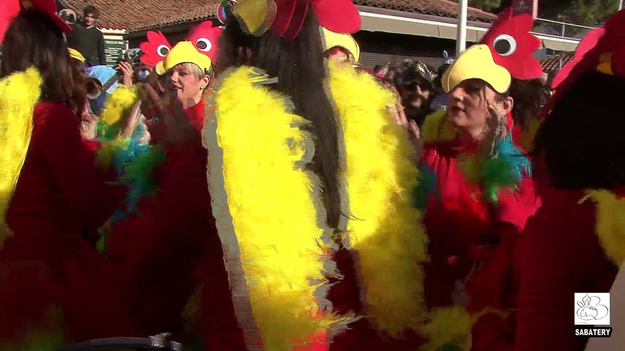 2017 - Vias - Carnaval après-midi