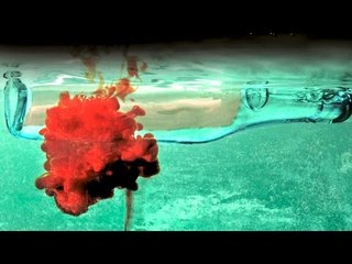 Les Enquêtes du Département V Vol.3 "Délivrance" - Bande Annonce VF