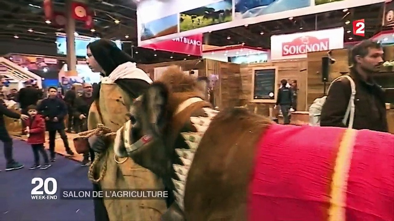 Salon de l'Agriculture : les exposants font les comptes