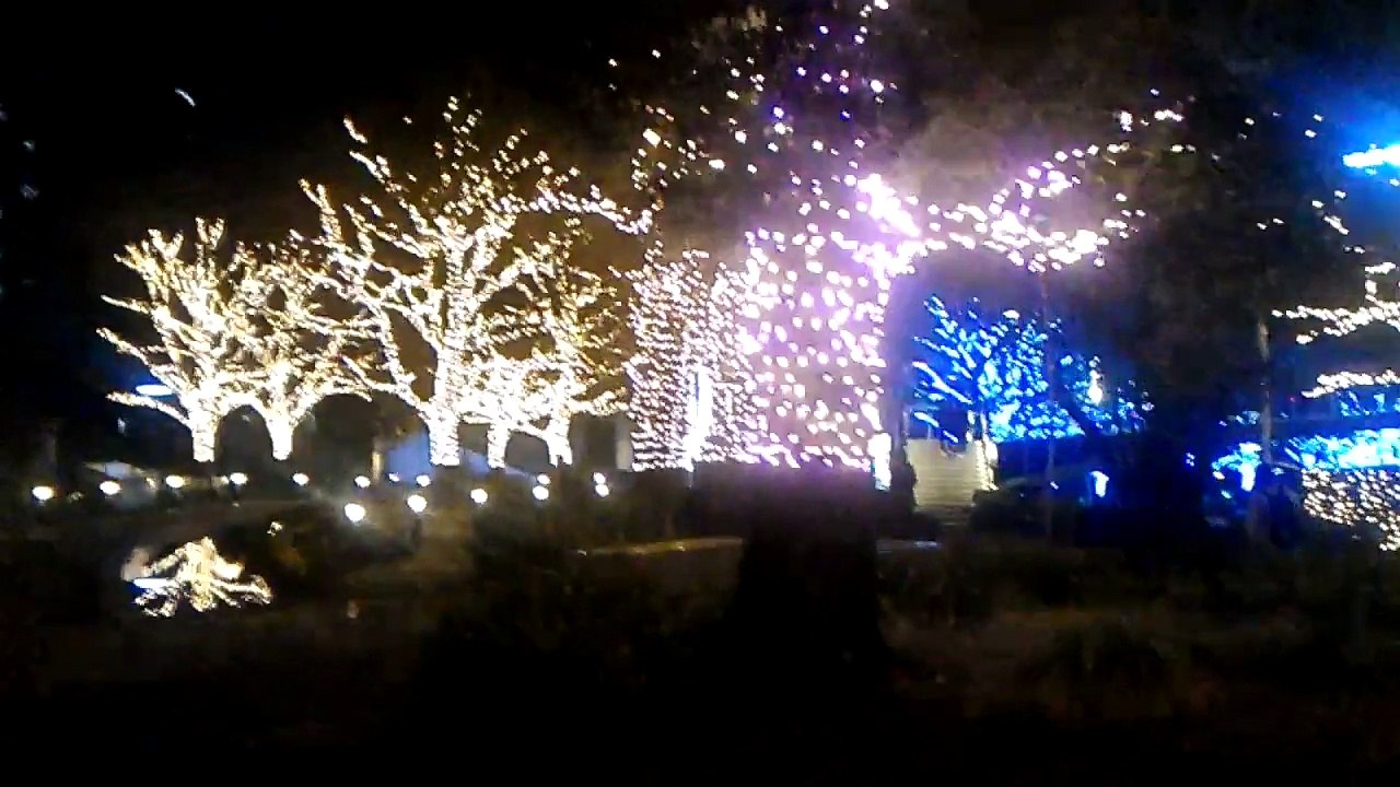 V_20170225_193246-夜晚的公園02