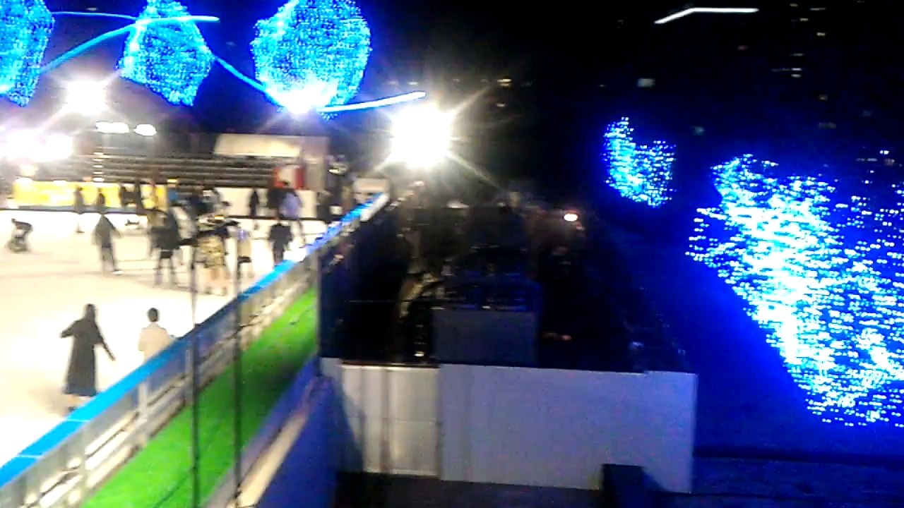V_20170225_194502-公園旁邊的溜冰場