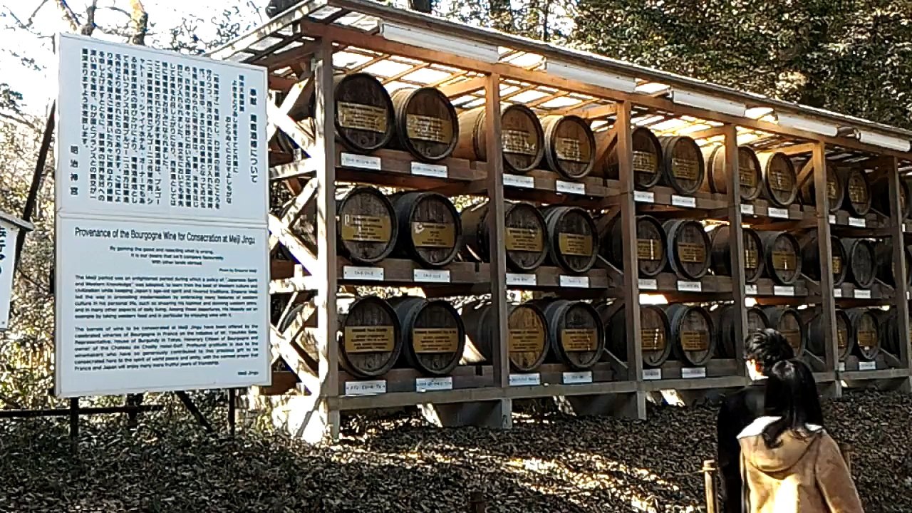 V_20170226_132713-神社路上02
