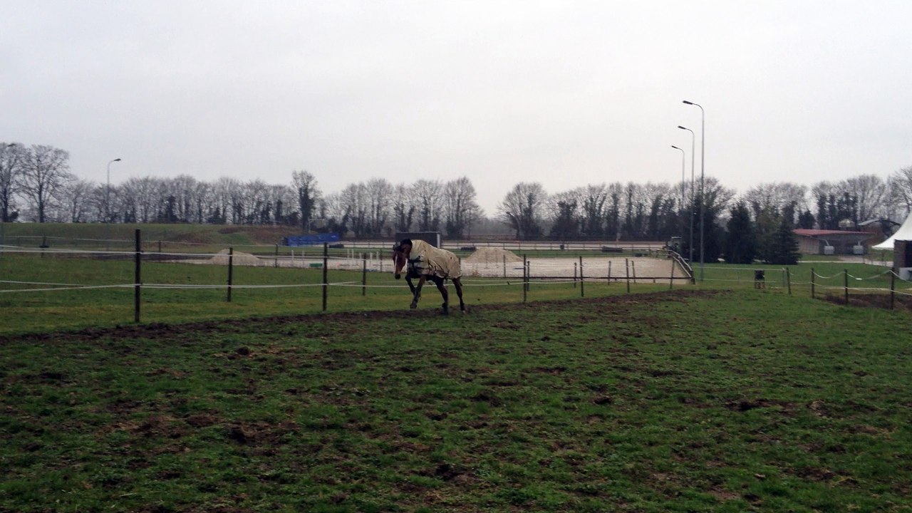 17-03-04 - Liberté 2