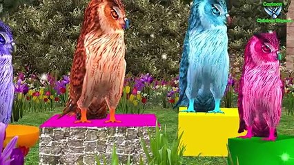 Gorilla Dragan 3d Animals Finger Family Nursery children rhymes | Gorilla,Horse,Dragon,Dog