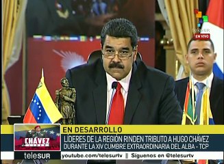 Enumera delegado de Surinam ante ALBA temas de la XIV sesión