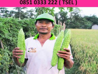 Pupuk Cair GDM 0851 0333 2222 ( TSEL )