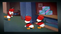 Donald Duck Cartoon New Compilation 2015 - Donal