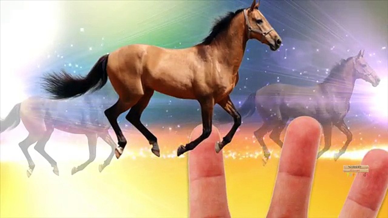 Finger Family Animals Cartoon Collection Learn Animals For Babies Nursery Rhymes Children