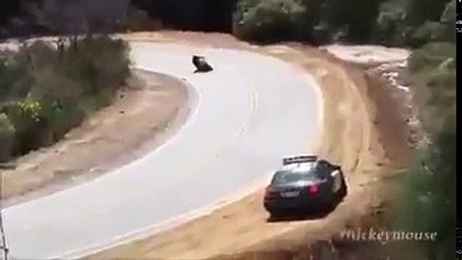 A Curva que Ninguém Consegue Fazer