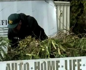 যুক্তরাষ্ট্রের আরেক ভারতীয় বংশদ্ভূত নাগরিক বন্দুক হামলার শিকার