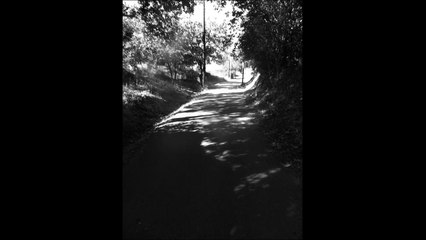 LES FLOW : "Coca" (Barjac, Chansons de Parole, 2015)