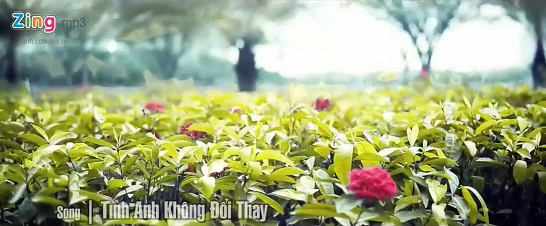 Tình Anh Không Đổi Thay-- Du Thiên
