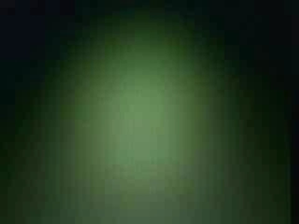 Anima_6