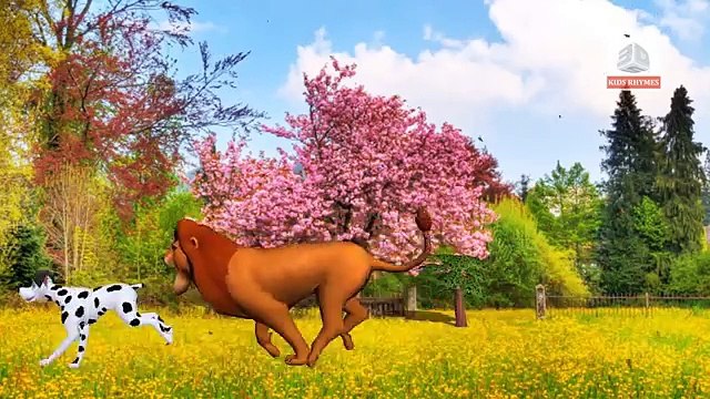 Animal Finger Family - Finger Family Song - 3D Animation Nursery Rhymes & Songs for Childr