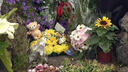 Ireland: Discovery of baby remains raises questions