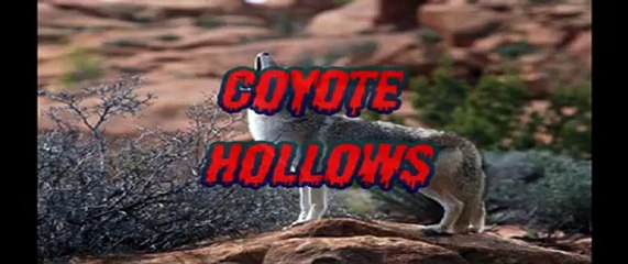 Coyote Hollows Mystery Underground California Creatures