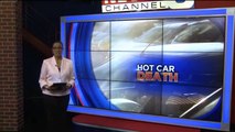 Anyone could forget their child in a hot car, expert says _ 2017
