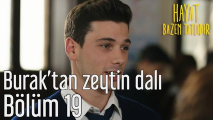 Hayat Bazen Tatlıdır 19. Bölüm Burak'tan Zeytin Dalı